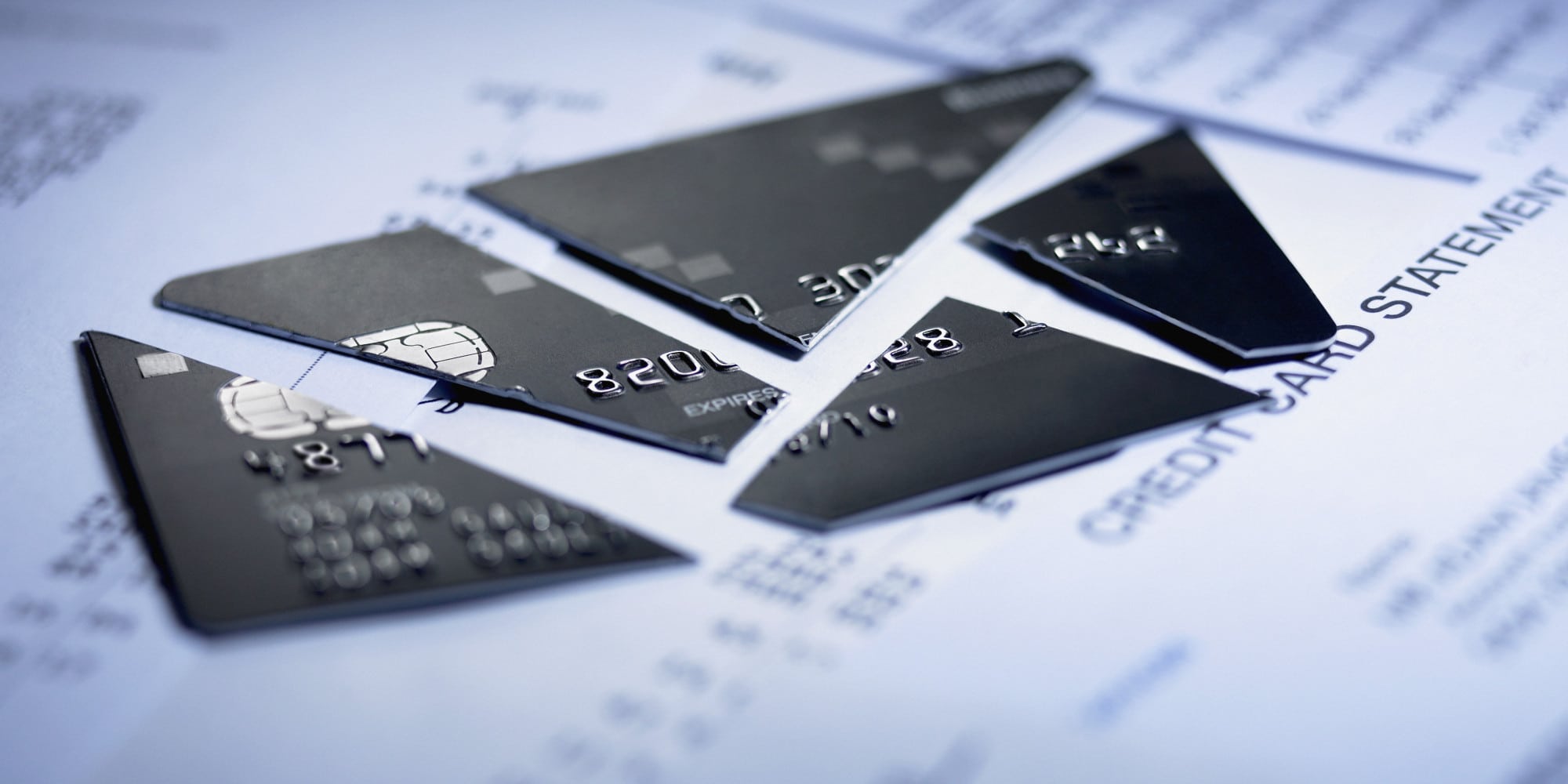 Close up of cut pieces of credit card after filing for bankruptcy